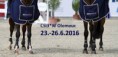 Světový pohár CSI***W Olomouc (parkury)