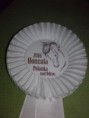 výstava koní - Poikahka n/O